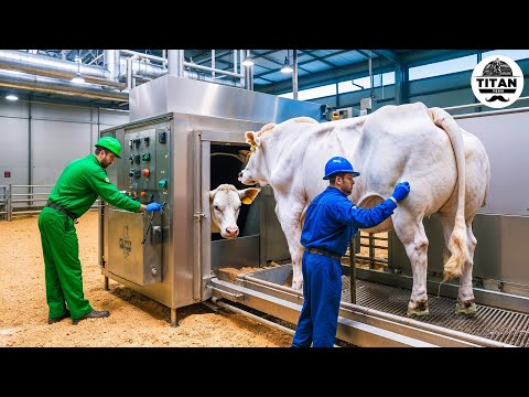Mind-blowing Machines Operating At An Insane Level | The Most Satisfying Factory Tech! #22