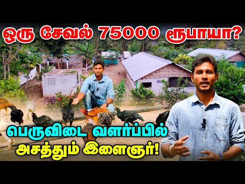 பெருவிடை வளர்ப்பில் இவ்வளவு லாபமா? சேலத்தில் அசத்தும் இளைஞர் | Pasumai Vikatan