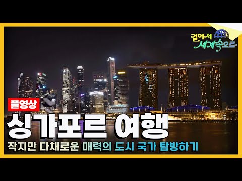 [#걸어서세계속으로Full📺] 도시와 자연, 다민족이 공존하는 평화의 섬나라 '싱가포르' 여행 Trip to Singapore (KBS_20190112)