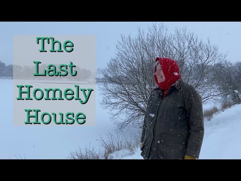 A snowy walk and a new knitting project ... Mitred? Double decrease? Domino? What do you call it?