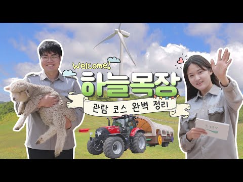 하늘목장 즐기기 1부