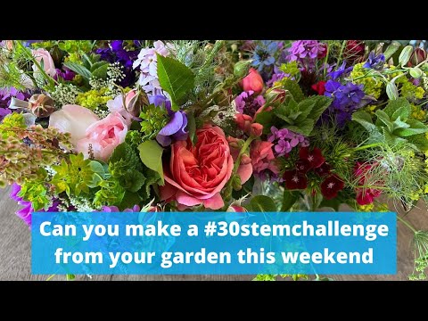I challenge you to make a #30stemchallenge from your garden this weekend