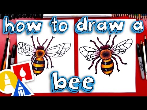 How To Draw A Realistic Bee