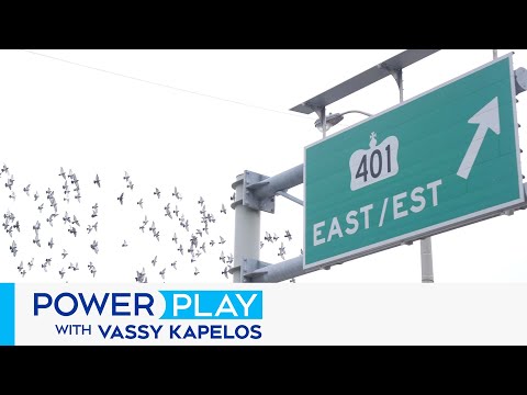 'No long-term issue between PM Carney and Premier Ford': Front Bench discusses 401 tunnel plan