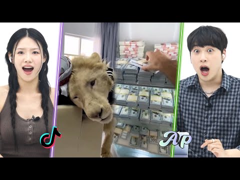 "Is this heaven?" Koreans are shocked by the dazzling lives of the Dubai rich ｜asopo