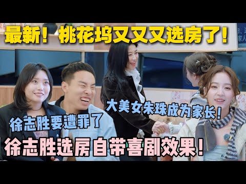 【五十公里桃花坞s5 】EP7-1：最新！桃花坞又又又选房了！大美女入住桃花坞就成为家长！徐志胜和蔡文静一个屋，晚上要遭老罪了！#五十公里桃花坞s5 #仁科  #徐志胜 #孟子义 #李雪琴