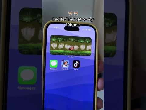 I added my cat to my iPhone