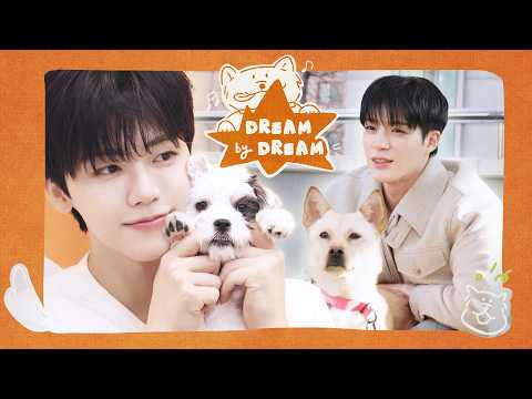⋆˚ʚ강아지와 강아지의 만남ɞ˚⋆ 🐶제노&재민🐰의 멍집사 데뷔전 🦴 《제대로 멍멍》 | 드림 바이 드림 | DREAM x DREAM