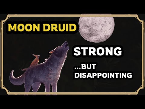 Moon Druid 2024 is NUMERICALLY strong