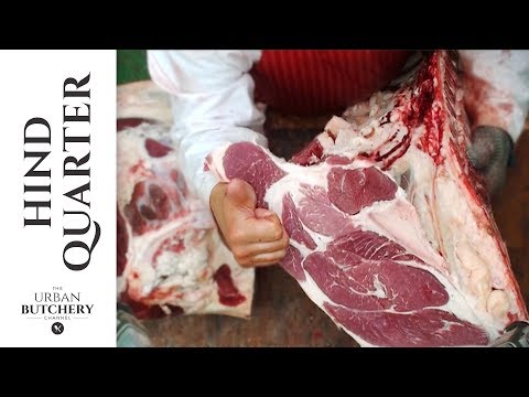 Beef Hind Quarter | Professional butchery up close