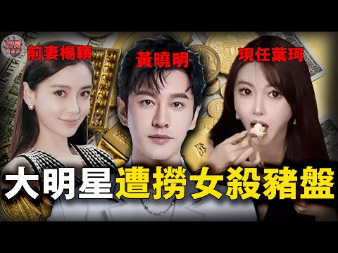 黃曉明遭2.7億殺豬盤？葉珂懷孕索要天價分手費後宣布退網，過往經歷遭扒被錘「撈女」……【迷霧調查組】明星八卦 案件推理 案件分析