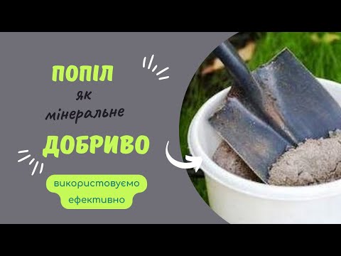 Як використовувати попіл у якості добрива.