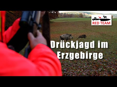 Hubertusjagd im (tschechischen) Erzgebirge | Drückjagd mit @WildboarFanatic