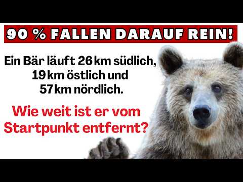 Animal Math: Can You Do It? | Pythagorean Theorem, Angles