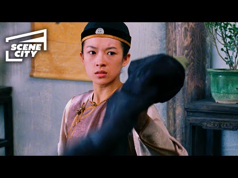 Crouching Tiger, Hidden Dragon: Attacked While Having Tea (HD Scene)