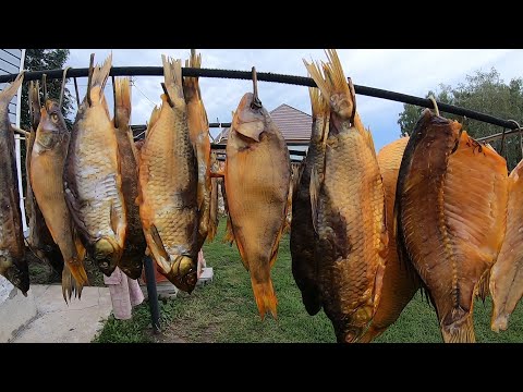 Рыба Сухого Посола Копчение Рыбы Холодным Копчением
