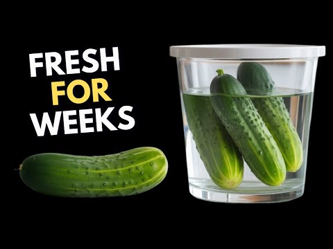 BEST Way To Keep Cucumbers FRESH for Weeks!