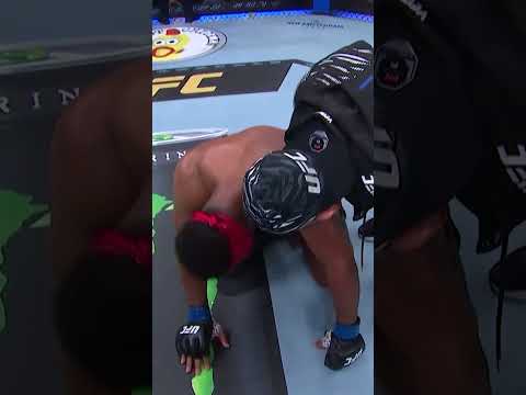 This fight goes the distance!!🔥 #ufc316