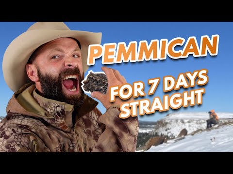 What I learned About PEMMICAN After Eating It For 7 Days Straight