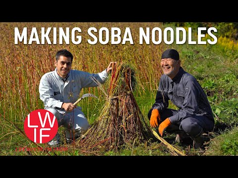 Making Soba: Japan's Everyday, Special Occasion Noodle