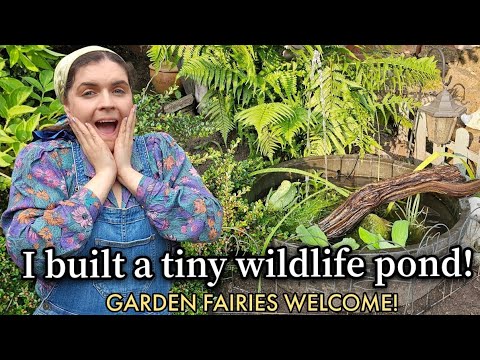 🌿 I Built a Tiny Wildlife Pond | Garden Fairies Welcome 🧚‍♀️✨