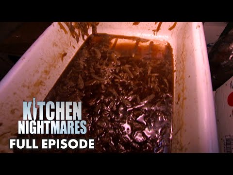 Shepherd's Pie Makes Gordon THROW UP | Kitchen Nightmares Full Episode