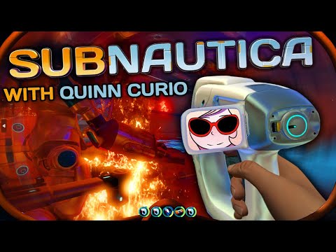 🐔don't make me go to that ship buddy 🐔| Quinn Curio
