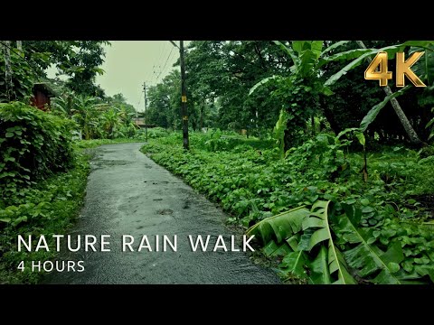 🌧️ 4 Hours Gentle Rain Walk Compilation | Green Lush Kerala Village Roads | Sleep & Meditate