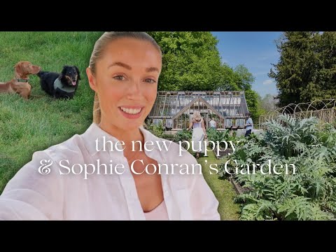 MEET THE NEW PUPPY, EXPLORING WINDSOR PARK & SALTHROP GARDENS // TIME IN THE ENGLISH COUNTRYSIDE