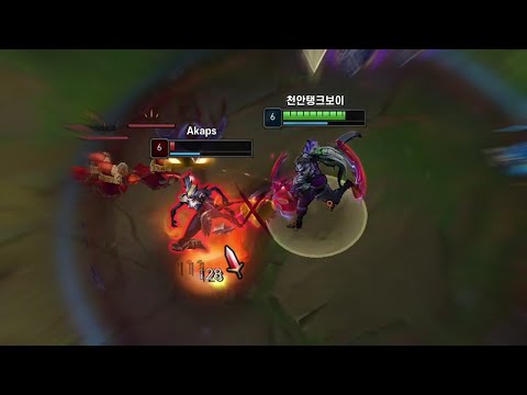 돌아온 48짜오와 파카