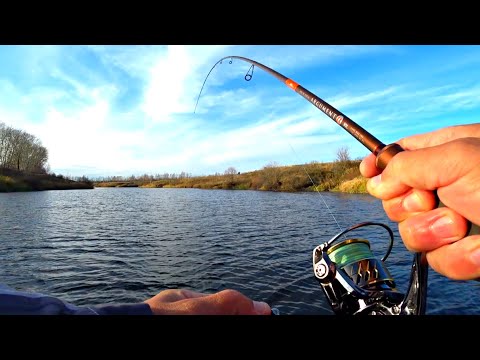 Я В ШОКЕ, ЭТО ПРОСТО БЕЗУМИЕ. СТОЛЬКО ЩУКИ Я ЕЩЕ НЕ ЛОВИЛ. Рыбалка на спиннинг осенью