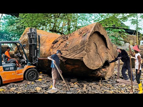 Penggergajian Mengerikan kayu durian monster bahan papan peti mati I sawmill
