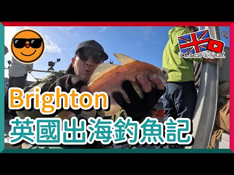 【Deslife@UK 英國生活台】4K 在英國出海釣魚- Brighton 之釣行, 想睇我釣到幾多魚？快啲入黎睇！#brighton #英國移民 #移英生活 #英國釣魚