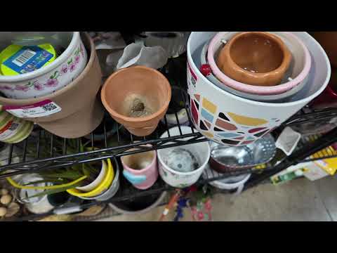 Thrift With Me at Goodwill | Crazy Lamp Lady | Niknax Reselling