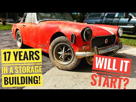 My wife bought her dream car back after 17 years! Will it start ?