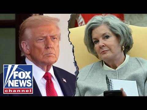 'Vanity UNFAIR': Susie Wiles hits back at claims in new article