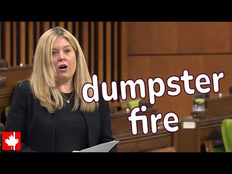 Is Canada's immigration system a "dumpster fire"? | Michelle Rempel Garner slams Bill C-12