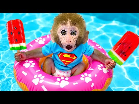 Малышка Обезьянка Bonbon Завтракает, Собирает Фрукты И Плавает С Лучшими Друзьями 🍌🙊