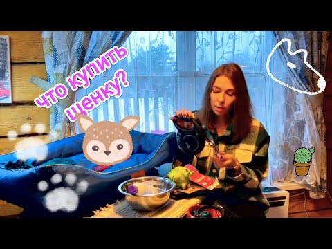 Что нужно щенку?