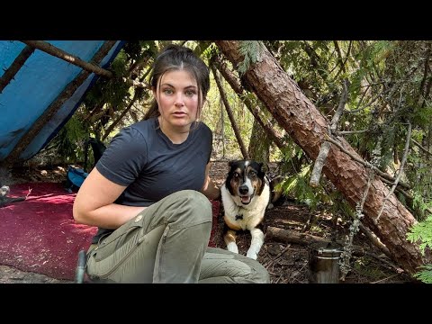 Solo Survival Camping & Building a Log Shelter