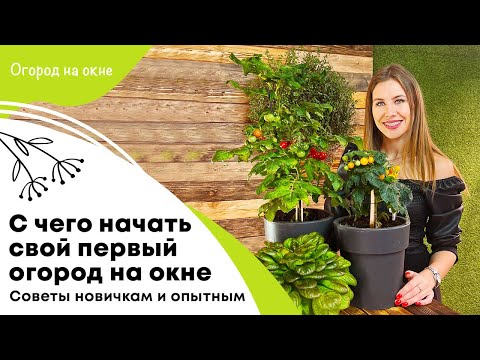 С чего начать огород на окне | Советы новичкам и опытным ситифермерам