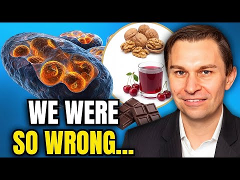 Eat These 3 Foods Before Bed to Make New Mitochondria (Scientific Proof) | Dr. David Sinclair