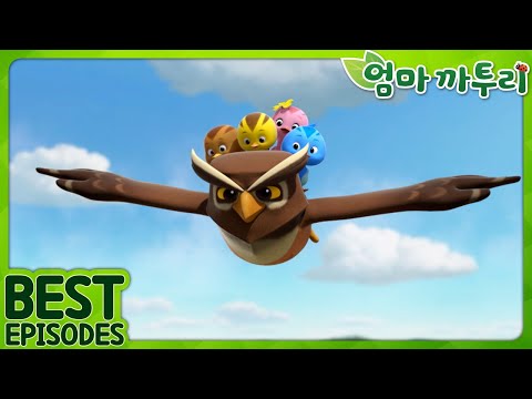 [엄마까투리 Best] 아름다운 새들의 숲속 이야기 | 엄마 까투리 | 까투리 | Katuri | 베스트 에피소드 모음 제A12화