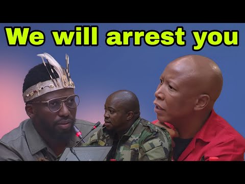 Ashley Sauls Clash with Julius Malema & Sibonelo Nomvalo at Mkhwanazi Committee.