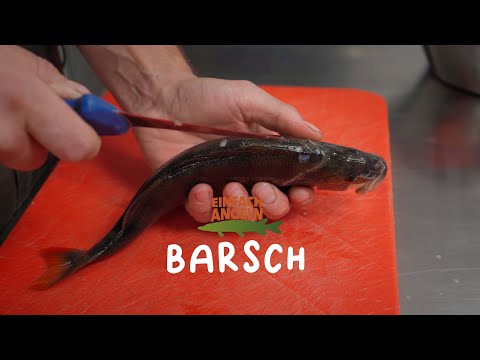 Barsch | GRÄTENFREI Filetieren XXL!