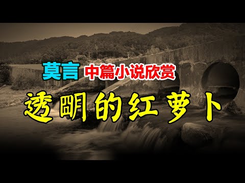 🔴 莫言的中篇小說欣賞:《透明的紅蘿蔔》#莫言 #小說 #聽書 #小說 #聽書 #散文 #美文