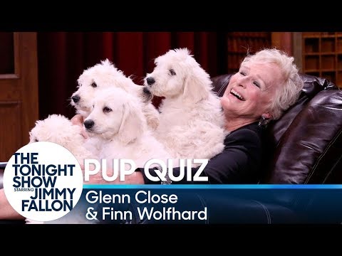Pup Quiz with Glenn Close and Finn Wolfhard