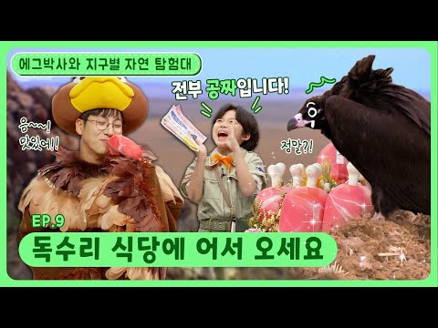 에그박사와 지구별 자연 탐험대ㅣEp.9ㅣ🍖독수리 식당에 어서 오세요ㅣ딩동댕유치원