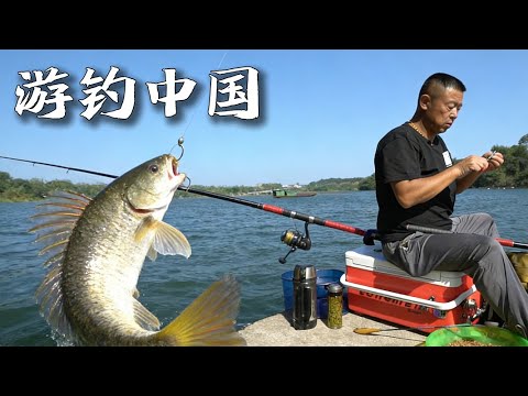最新！史上最大巨物出沒！經驗豐富老師傅親自出手，釣上岸連抱都費力！|《游釣中國》National tourism fishing EP35