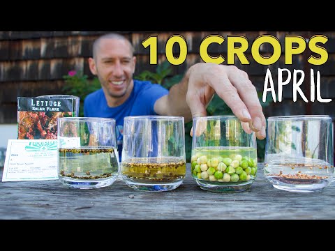 10 Crops You'd be Foolish Not to Plant in April